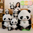 ぬいぐるみ ぬい 抱き枕 パンダ頭 彼女 子供 小学生 女の子 プレゼント お誕生日 店飾り クマ くま ぬいぐるみ 特大 くま 動物 大きいコストコ クマ お祝い