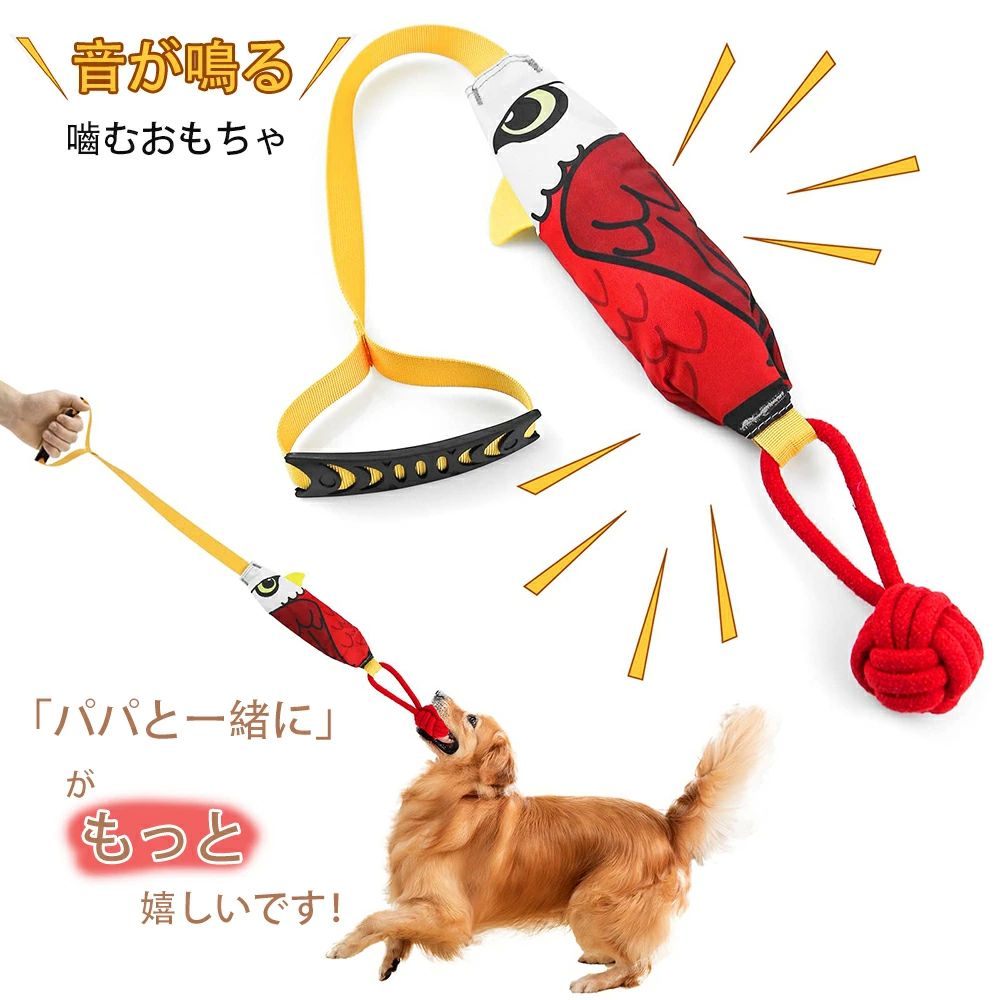 淿 ȥ쥹 󥿥饯ƥ֤ʥפΤ  Ѵ ΰ प νФ뤪 