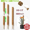 連結 花ささえ 植物支柱 ポトス 園芸支柱 ココナッツ 耐久 頑丈 高さ調整可能 支柱 ポトス 支柱 植物 おしゃれ 支柱 モンステラ