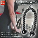 エク トレーニング 上腕 三頭筋 二頭筋 背筋 腹筋 筋トレ ケーブルアタッチメント ロープ 筋トレ トレーニング器具 ダブルロープ