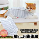 h0346 エリザベスカラー ペット服 ペット用品 傷口保護 舐めない 傷 服 ボーダー 術後ウェア 術後服
