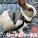 チェック 胴輪 服 ペット チェック プレーリードッグ チンチラ フェレット モルモット 小動物 付 リード ハーネス ベスト ウサギ