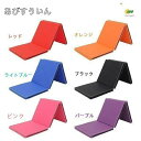 ダイエッ エクササイズ ストレッチ プレイマット 大きい トレーニングマット 体操マット スポーツマット 家庭用 厚手 折りたたみ(4)