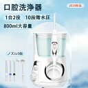 歯垢除 歯間 ジェット水流 高圧の水噴射 大容量800ml ジェットクリーン 水圧10段階 電動 防水機能 ウォーターピック 口腔洗浄機