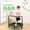 カバ 折りたたみ式 トレーニング 恐竜 大人 ゴム 屋内 家庭用 【耐荷重120kg】 92CM ダイエット 手すり付き フィットネス 子供用