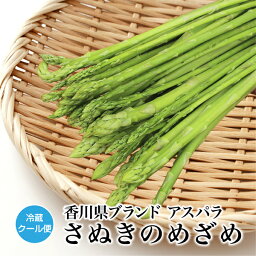 アスパラガス アスパラ ガス さぬきのめざめ 香川 さぬき の めざめ 約1kg 不揃い野菜 産地 直送 不揃い アスパラさぬきのめざめ グリーンアスパラガス グリーンアスパラ 太さ不揃い 香川県 産地直送 香川県産 香川産 ブランド野菜 ふぞろい やさい 野菜 国産野菜 家庭用