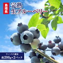 現在4日営業日以内 ブルーベリー 完熟 島根 生ブルーベリー 400g ( 200g×2パック ) 箱入り 国産 ブルーベリー 生 国産ブルーベリー フルーツ ...