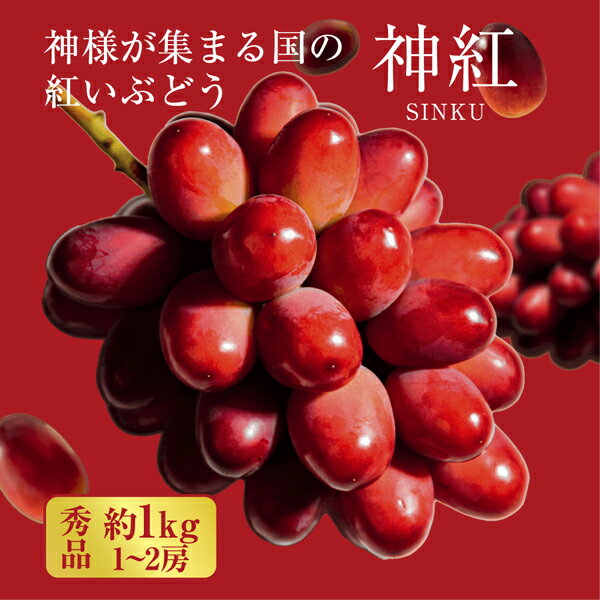 高級なフルーツ 【予約】7/11~順次出荷 秀品 約1.0kg(1~2房) 島根県出雲市産 神紅 しんく ぶどう 秀品 お中元 ギフト ブドウ 葡萄 島根 出雲市 贈答用 お供えフルーツ 送料無料 最高級 お盆 お供え 果物 贈答品 くだものギフト 高級フルーツ 御中元ギフト 夏ギフト フルーツ 産地直送