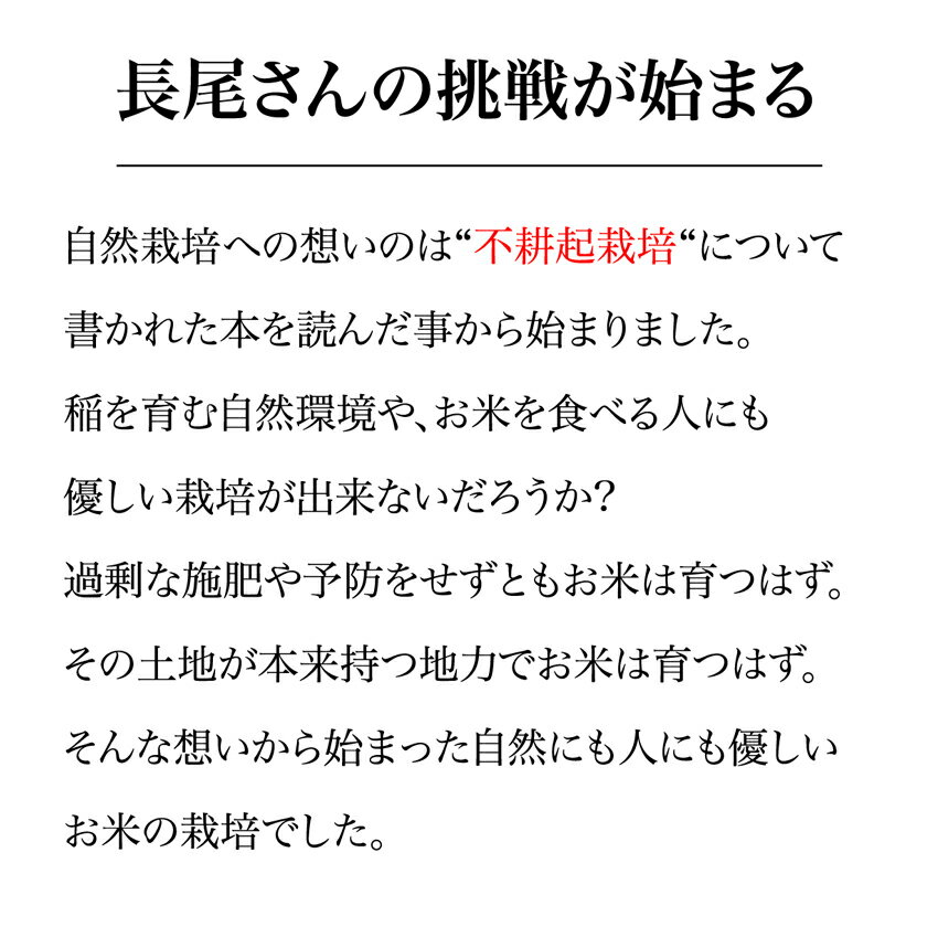 翌営業日まに発送 無農薬 玄米 新米 令和7年産 アキサカリ 5kg お歳暮 米 香川県産 お米 5キロ あきさかり 安心 安全 米5キロ 玄米5キロ 安心 安全 おいしいお米 美味しい米 贈答 産地直送 お米5kg お米5きろ おこめ5k 国産 こめ コメ ギフト 令和7年 送料無料