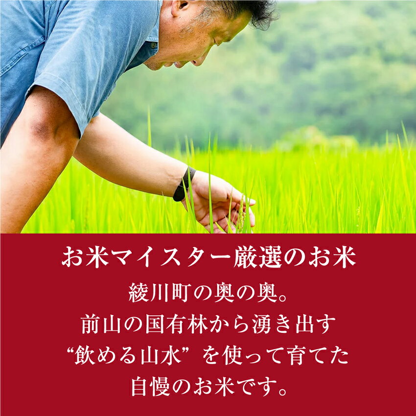 サンプル画像3