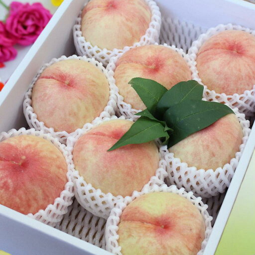 予約 特秀品 桃 もも ギフト 香川 贈答用 約2kg 6~8玉 送料無料 香川県 果物お取り寄せ 高級 秀品 熨斗 モモ 旬のフルーツ 箱買い 香川県産 果物 贈答品 フルーツ贈答 フルーツ贈り物 くだものギフト 紀の川 白桃 白鳳 なつっこ 川中島白桃 フルーツ通販 産地直送 贈答用桃 予約 特秀品 桃 もも ギフト 香川 贈答用 約2kg 6~8玉 送料無料 香川県 果物お取り寄せ 高級 秀品 熨斗 モモ 旬のフルーツ 箱買い 香川県産 果物 贈答品 フルーツ贈答 フルーツ贈り物 くだものギフト 紀の川 白桃 白鳳 なつっこ 川中島白桃 フルーツ通販 産地直送 贈答用桃