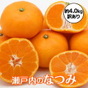 なつみ 瀬戸内産 なつみみかん 訳あり 4.0キロ L-2Lサイズ混合...(4)