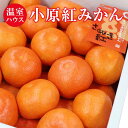 小原紅 小原 約1.2kg 約2.5kg 秀品 香川県産 温室ハウス 小原紅みかん みかん 小原紅早生 果物ギフト くだものギフト 贈答用みかん 果物 くだもの...