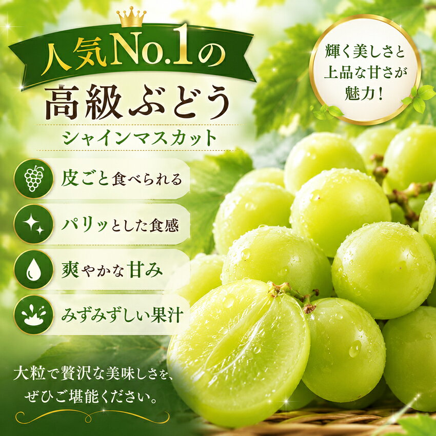 7月下旬〜 秀品 大粒 約1.2kg(2房) シャインマスカット 島根県出雲市産 ぶどう ギフト ブドウ 葡萄 贈答用 お中元 フルーツ 送料無料 高級果物 最高級 お供え 果物 しゃいんますかっと 贈答品 くだものギフト 高級フルーツ フルーツギフト 敬老の日 果物通販 santa-gift-10000086 サンタの贈り物 サンプル画像3