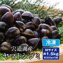 しじみ 島根県 宍道湖産 天然ヤマトシジミ 約1500g(300g×5袋)Mサイズ 宍道湖 大和しじみ 宍道湖しじみ 宍道湖産しじみ 冷凍しじみ 島根 しじみ ...