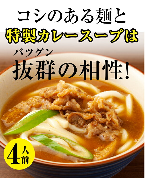 本場さぬき 渾身 カレーうどん 2人前×2袋 老舗製麺会社 コシのある麺 特製カレース...