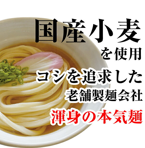 本場さぬき 渾身 カレーうどん 2人前×2袋 老舗製麺会社 コシのある麺 特製カレース...