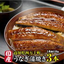 国産 高級うなぎ うなぎ 蒲焼き 高知県産【鰻 約110g×3本】 鰻 高知県 四万十うなぎ ウナギ 専門店 高知県四万十川 土用の丑の日 高知 四万十ウナギ 高級 冷凍 うなぎギフト 冷凍ウナギ プレゼント 贈り物 国産うなぎ蒲焼 3尾 3本 セット 国産ウナギ 美味しい 送料無料