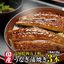 国産 高級うなぎ 大 蒲焼き 高知県産【鰻 約140g×3本】 鰻 割烹 ウナギ 専門店 高知県四万十川 送料無料 冷凍 大きい うなぎ 3尾 うなぎギフト 父の日 冷凍ウナギ うなぎの蒲焼 四万十うなぎ 四万十 贈り物 蒲焼き鰻 国産ウナギ 美味しい 国産うなぎ蒲焼 高級 セット(4)