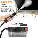 ダニ駆除 除菌 消毒 105℃ 6段階調整 110V 2500W 1L 小型 ハンディ 高温掃除機 蒸気洗浄機 高圧 高温