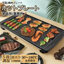ロースター 穴あき 油が落ちる 業務用 家庭用 焼肉 鍋 コンパクト 焼肉グリル 減煙 無煙 焼肉プレート 大型