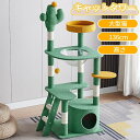 キャットタワースタジアム 大型猫 スリム 省スペース 据え置き 猫タワー キャットハウス 猫 猫用品 爪とぎ