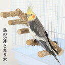 鳥用品 爪研ぎ 遊び場 鳥おもちゃ ケージ 階段 鳥スタンド とまり木 ステップ インコ 5連 天然木
