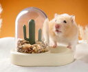 モルモット モモンガ えさいれ お留守番対策 ハリネズミ 食器 エサ入れ 小鳥用食器 小動物用自動給餌 餌入れ ハムスター