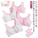 【10倍ポイント!】ジュニアブラ キッズブラ ブラジャー4枚&ショーツ4枚セット いちご柄 苺 コットンインナー 女の子 子供 綿 下着 ピンク ブラトップ 上...