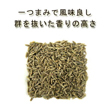 【送料無料】【クミンシードor粉末パウダー100g】有機オーガニック素材の無農薬・無化学肥料【ホール/シード/クミンパウダー/クミンシードパウダー/粉末】【スパイスハーブ/香辛料】【フェアトレード】