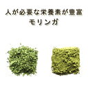 【送料無料】【完全無農薬モリンガパウダー/粉末 100g】【スーパーフード/モリンガ茶/無添加/青汁...