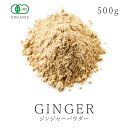 高品質 有機 ジンジャー パウダー 500g オーガニック 有機JAS認証ショウガオール 生姜茶 生姜パウダー ショウガ しょうが粉末 生姜粉末 乾燥生姜 乾姜 干姜 スパイスハーブ 香辛料 大容量 業務用 お得用