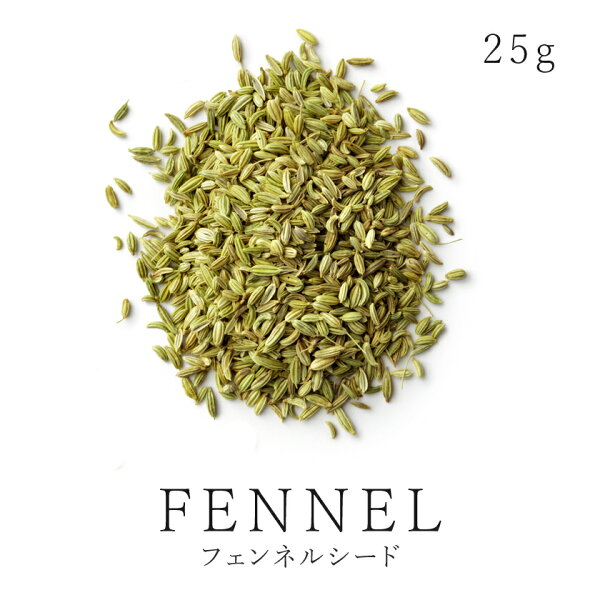 フェンネルシード25g有機フェンネルシード使用安心・安質ウイキョウ茴香小茴香スパイスハーブハーブティーフェアトレード05P03D