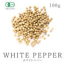 ホワイトペッパーパウダー - 100g Jalpur White Pepper Powder - 100g