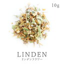 リンデンフラワー 10g 有機リンデンフラワー使用リンデン フラワー 菩提樹 ライム スパイスハーブ ハーブティー フェアトレード05P03Dec16