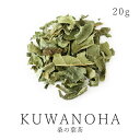 桑の葉茶 20g マルベリー リーフ 農