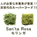 【送料無料】【完全無農薬モリンガ パウダー/粉末 100g】【スーパーフード/モリンガ/無添加/青汁...