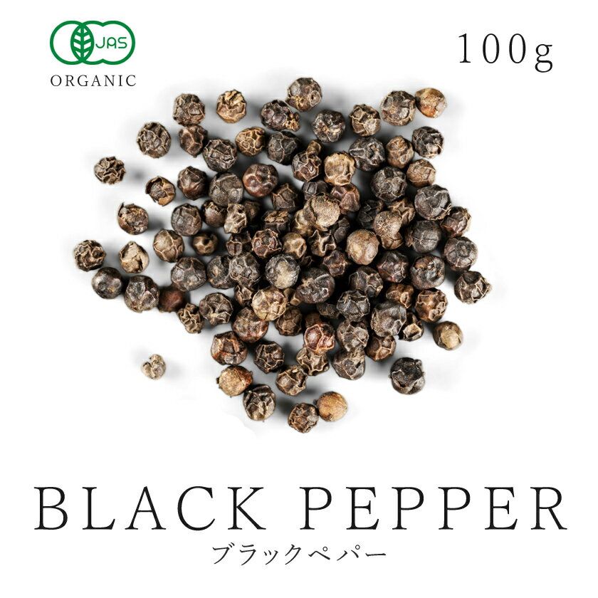 GABAN ギャバン ブラックペッパー 荒挽 100g×24本