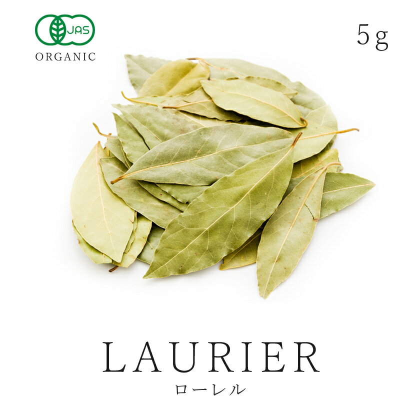 ローレルパウダー トルコ産 3kg,粉末,Laurel Powder,ハーブ,シャンイェ,香叶,インド,スペイン,中華,イタリア,スパイス,ベイリーフ,ローリエ,【送料無料】