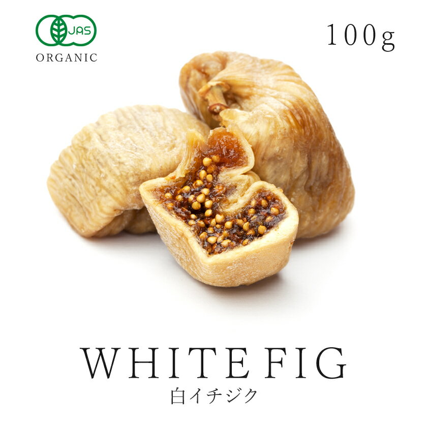 いちじく ドライフルーツ 100g 高品