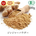 生姜パウダー 500g ジンジャーパウダー 高品質 オーガニック 無添加 (酸化防止剤不使用 抗結剤不使用 香料不使用 防腐剤不使用) 有機JAS生姜粉末 生姜 粉末 ジンジャー しょうが 生姜茶 ショウガオール スパイス ハーブ 香辛料 ダイエット 美容 温活