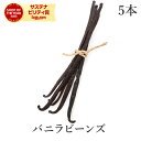 バニラビーンズ 5本入 最高級 完熟 農薬不使用 FLO認証マダガスカル産 ブルボン種 バニラ ヴァニラ 製菓 バニラ豆 菓子材料 ナッツ スパイス ハーブ 香辛料 フェアトレード 送料無料 サンタローサ