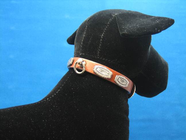 H【コンチョカラー】 サイズ14M 特価提供！