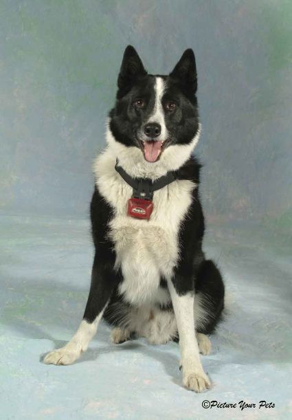 �ڥѥåץ饤�ȡۡ��������դ��˺߸˽�ʬ�ò����󶡡�