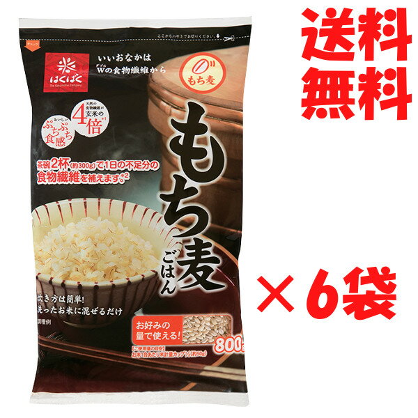 送料無料 6個セット はくばく もち麦ごはん 800g × 6袋（1ケース） もち麦 もちむぎ チャック付 【※別途送料 北海道・九州・沖縄】