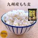 九州産もち麦　もち麦　九州産　1袋 3袋 800g 麦ごはん