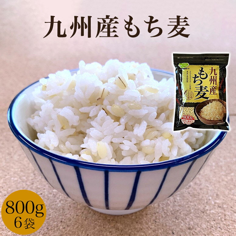 九州産もち麦　もち麦　九州産　1袋 6袋 800g 麦ごはん