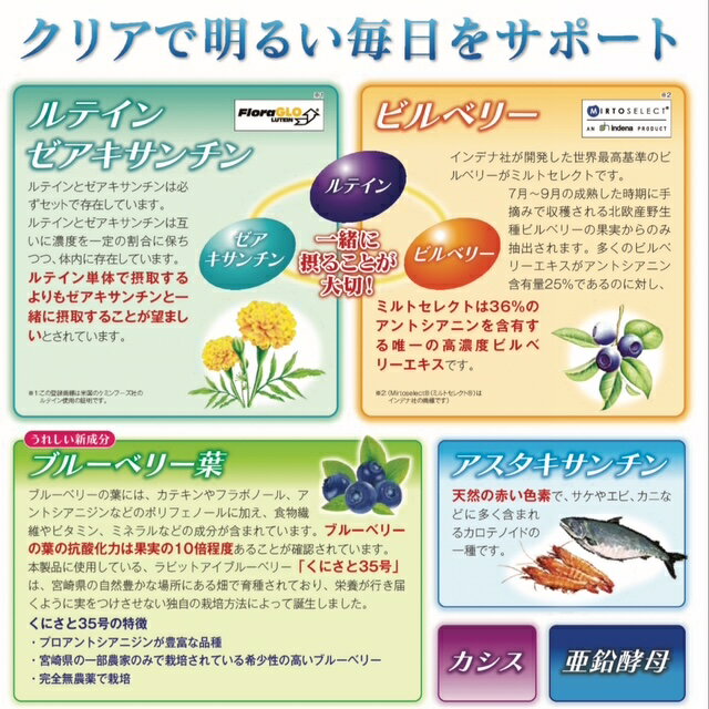 【医薬部外品】パンラクミン錠 (130錠)×1個 4987081299218 【取寄商品】