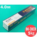 楽天溶接用品プロショップ サンテック硬化肉盛 被覆棒 BK-30CR 4.0×400mm 5kg 日亜溶接棒 ニツコー熔材工業 NIKKO【送料無料】