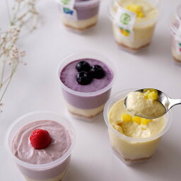 サンテカフェまる カップケーキ 【送料込み】グルテンフリー ヴィーガン「 RAWCUPケーキ 選べる6個セット 」アレルギー対応 ダイエット スイーツ 小麦粉・卵・乳製品・動物性食品不使用 授乳中 ギルトフリー